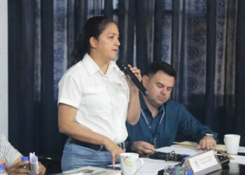 Reunión ordinaria del CODEDE